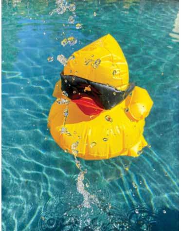 Bright yellow duck toy in a pool