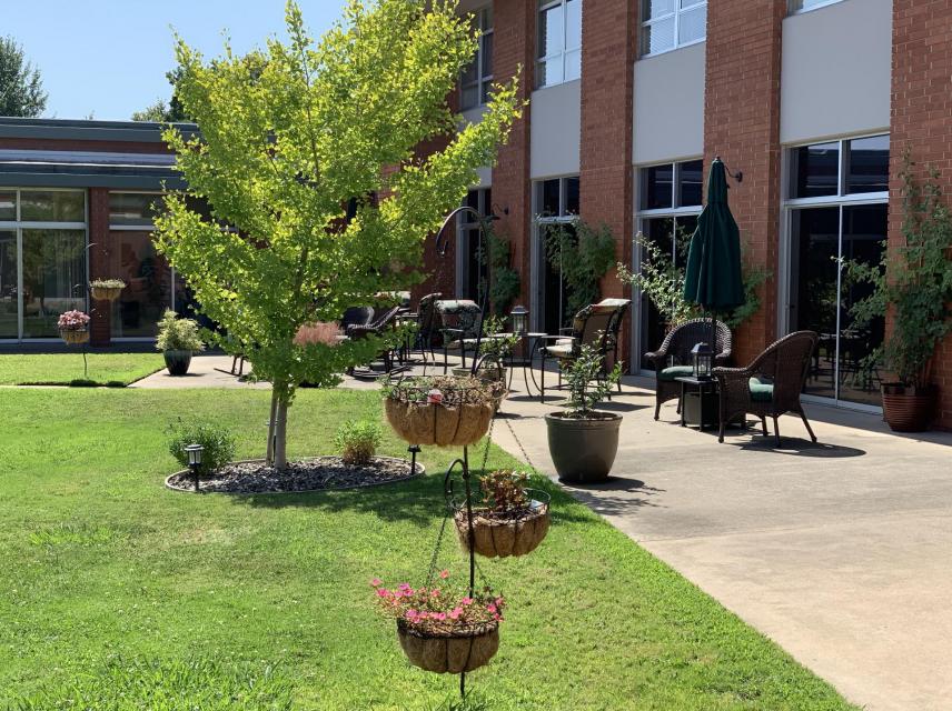 Courtyard with small green tree on grass area surrounded by tables.