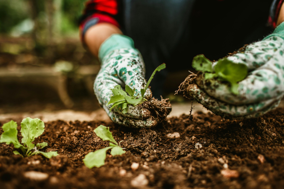close up of person with gardening gloves