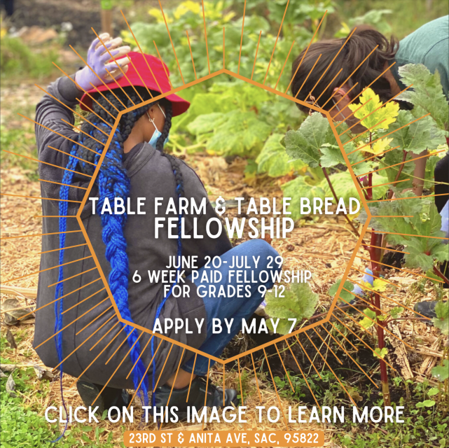 An image of youth farming