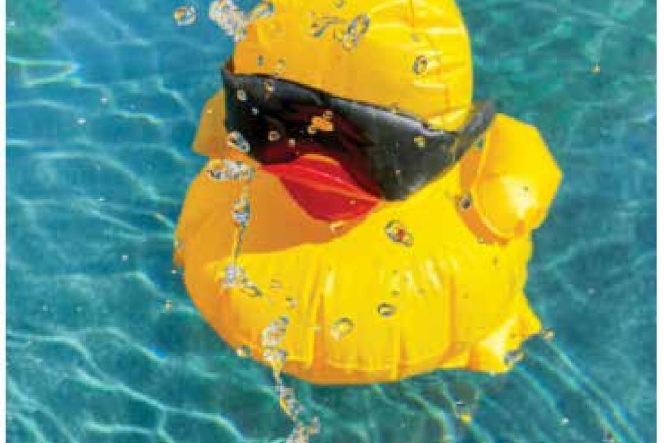 Bright yellow duck toy in a pool